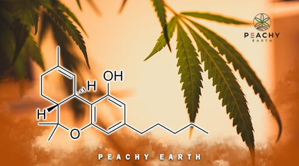 What are delta 9 drinks and their benefits?