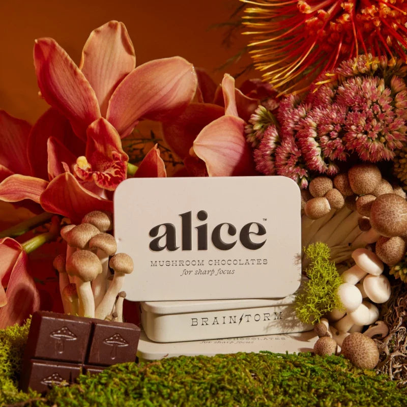 Alice Mushrooms Chocolate - Focus & Energy