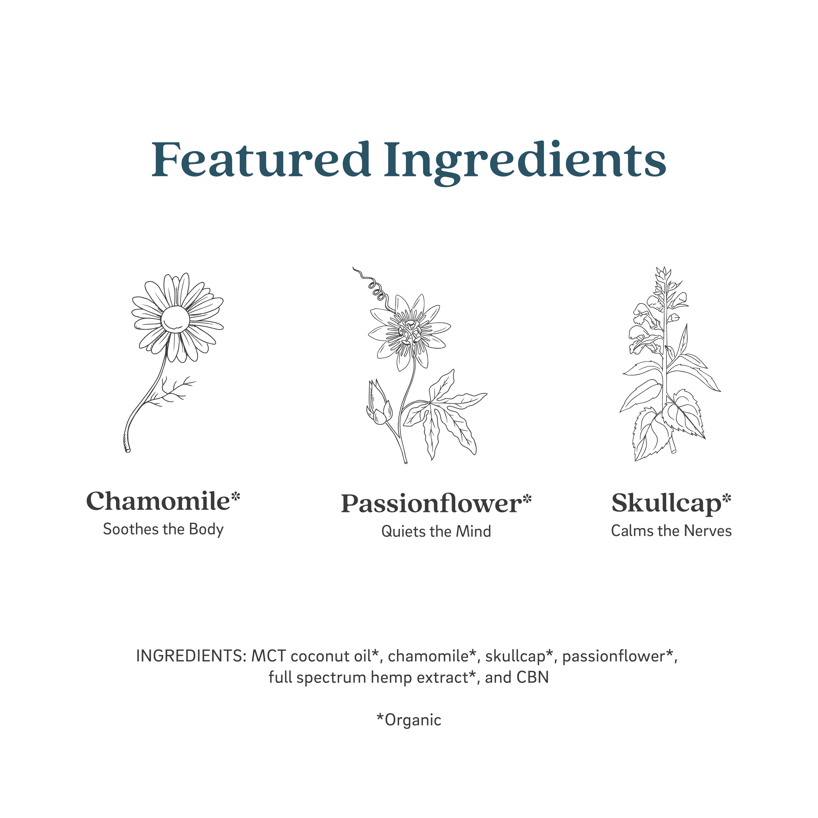 Jimbo & Jules Sleep Deep