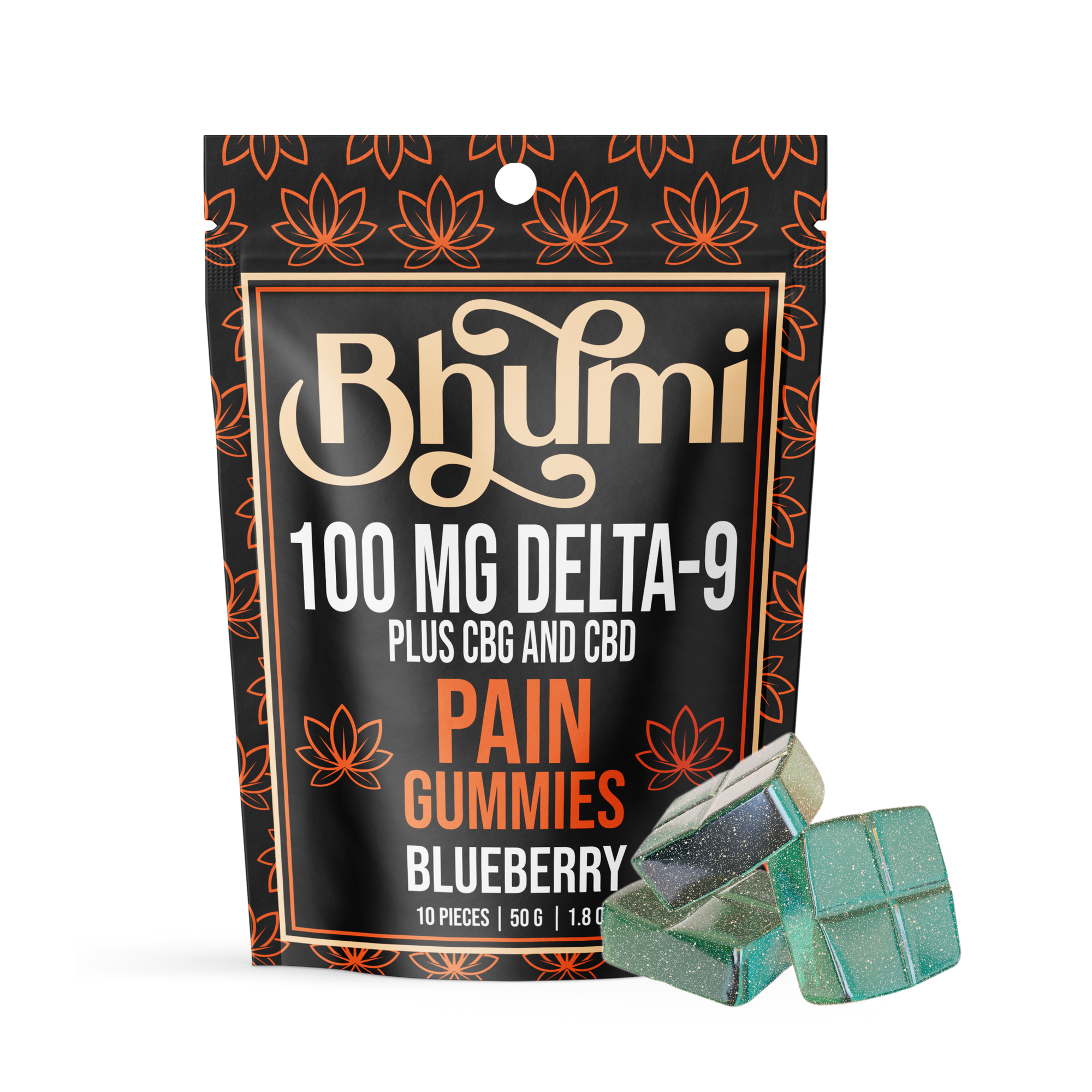 Bhumi